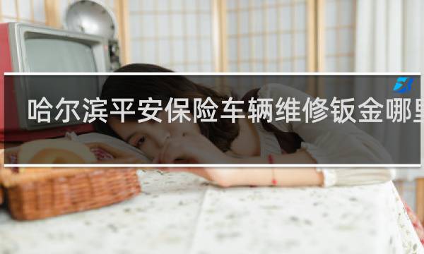 哈尔滨平安保险车辆维修钣金哪里好
