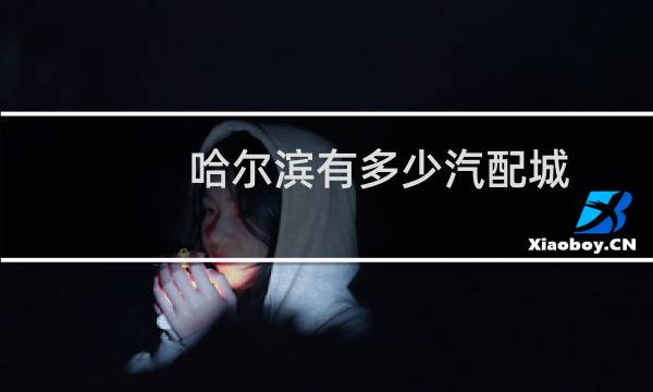 哈尔滨有多少汽配城