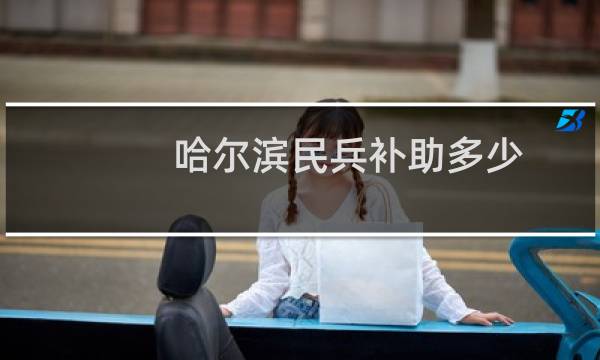 哈尔滨民兵补助多少
