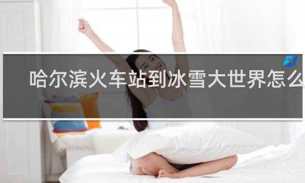 哈尔滨火车站到冰雪大世界怎么走