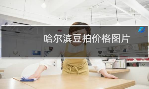哈尔滨豆拍价格图片