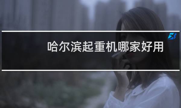 哈尔滨起重机哪家好用