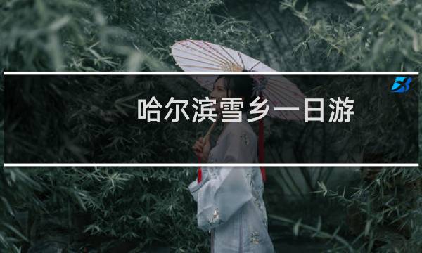 哈尔滨雪乡一日游