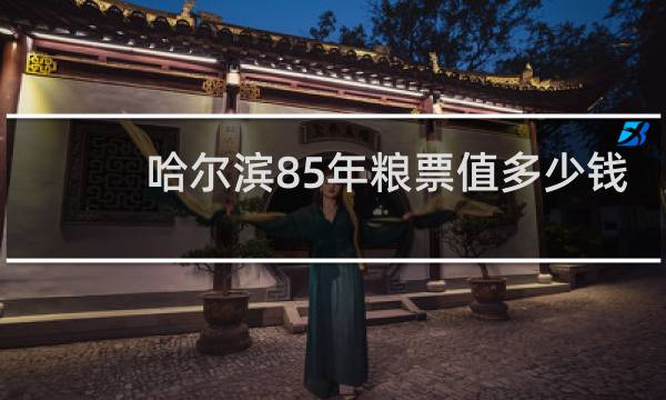 哈尔滨85年粮票值多少钱