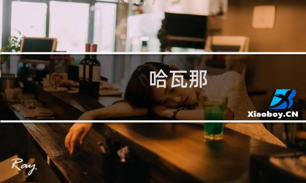哈瓦那 攻略