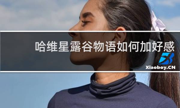 哈维星露谷物语如何加好感