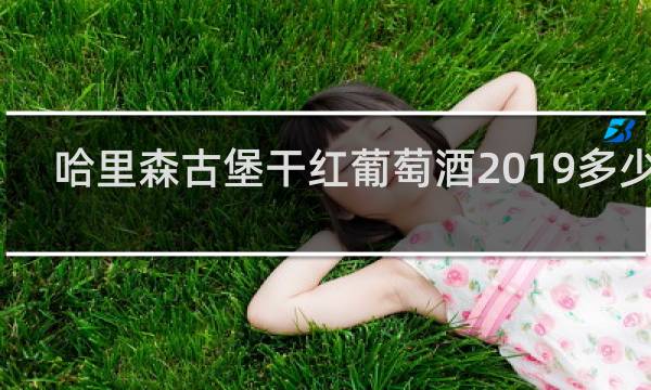 哈里森古堡干红葡萄酒2019多少钱