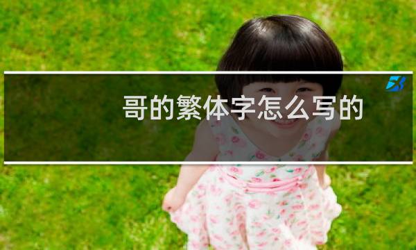 哥的繁体字怎么写的