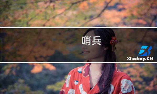 哨兵 攻略