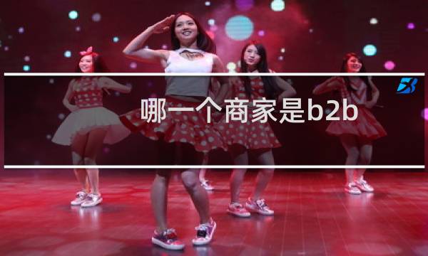 哪一个商家是b2b 模式