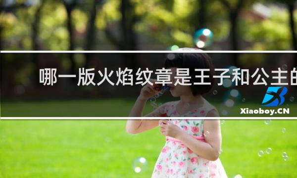哪一版火焰纹章是王子和公主的