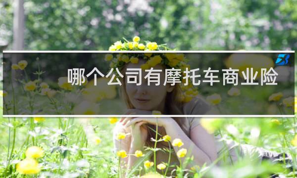 哪个公司有摩托车商业险