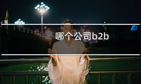 哪个公司b2b