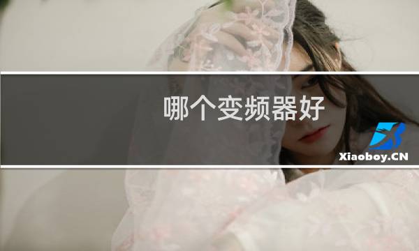 哪个变频器好