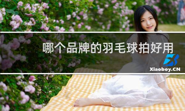 哪个品牌的羽毛球拍好用