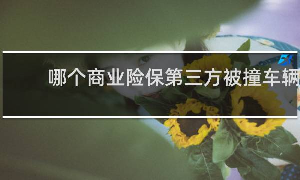 哪个商业险保第三方被撞车辆