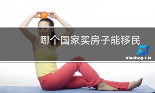 哪个国家买房子能移民