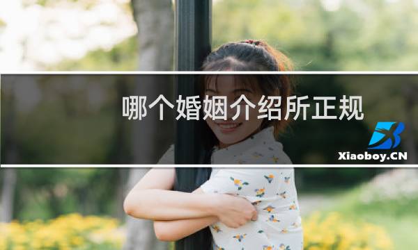 哪个婚姻介绍所正规