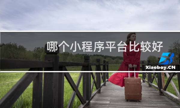 哪个小程序平台比较好