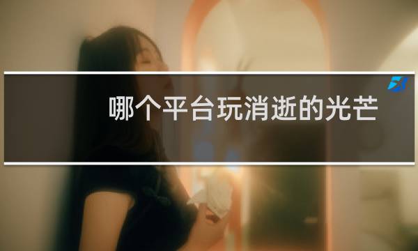 哪个平台玩消逝的光芒