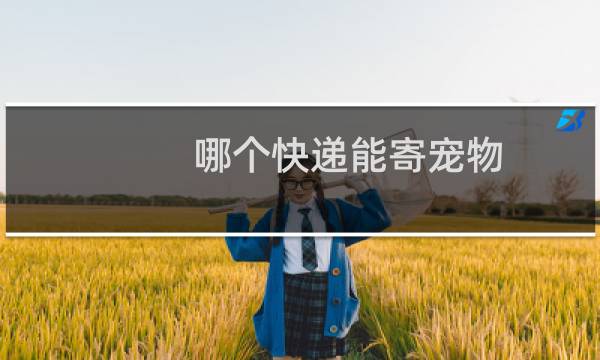 哪个快递能寄宠物