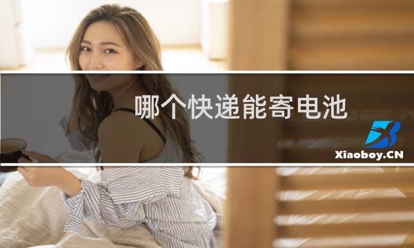 哪个快递能寄电池