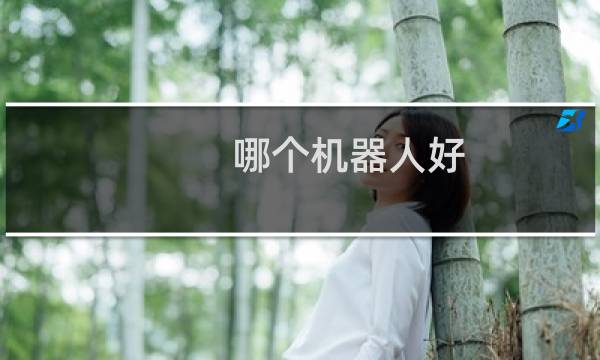 哪个机器人好