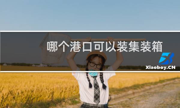 哪个港口可以装集装箱