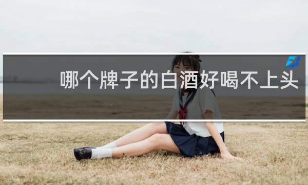 哪个牌子的白酒好喝不上头
