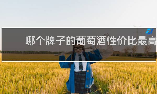哪个牌子的葡萄酒性价比最高