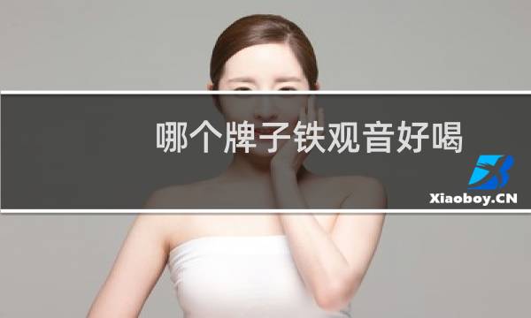 哪个牌子铁观音好喝