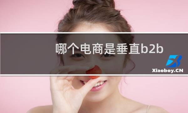 哪个电商是垂直b2b