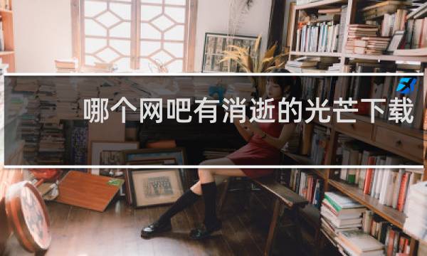 哪个网吧有消逝的光芒下载