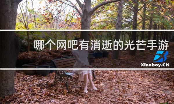 哪个网吧有消逝的光芒手游