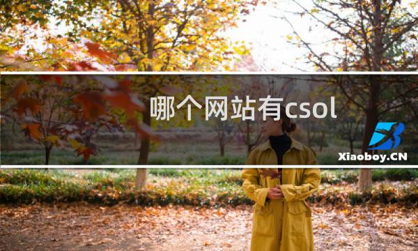 哪个网站有csol