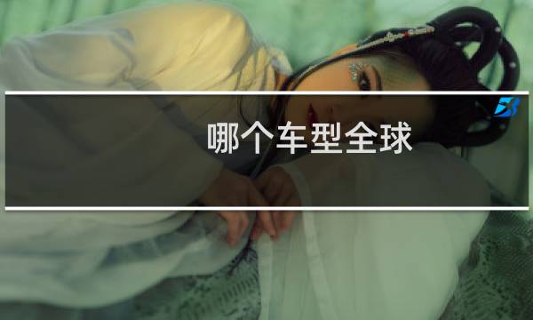 哪个车型全球
