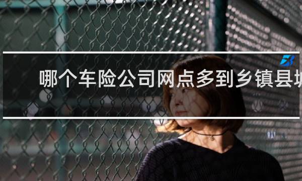 哪个车险公司网点多到乡镇县城