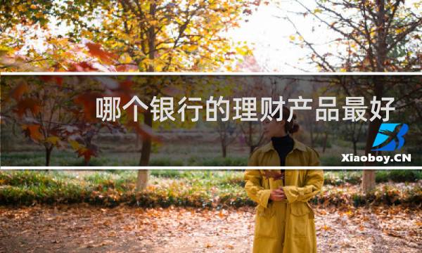 哪个银行的理财产品最好
