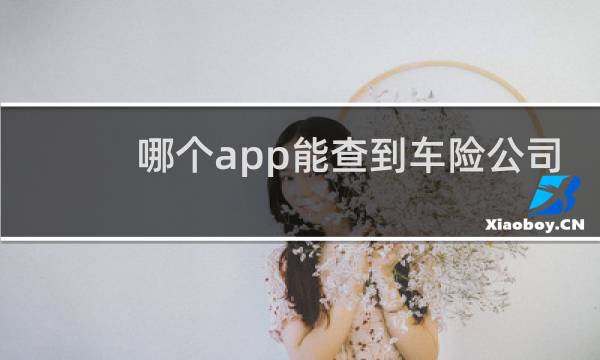 哪个app能查到车险公司