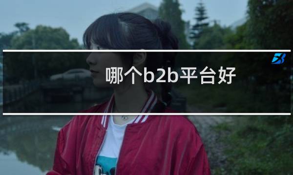 哪个b2b平台好