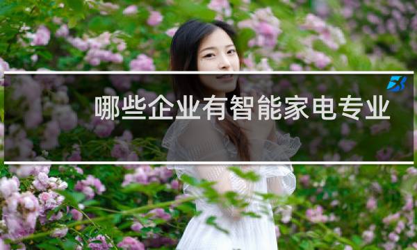 哪些企业有智能家电专业