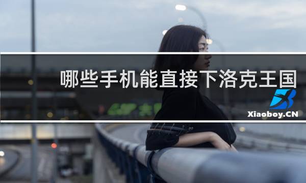哪些手机能直接下洛克王国