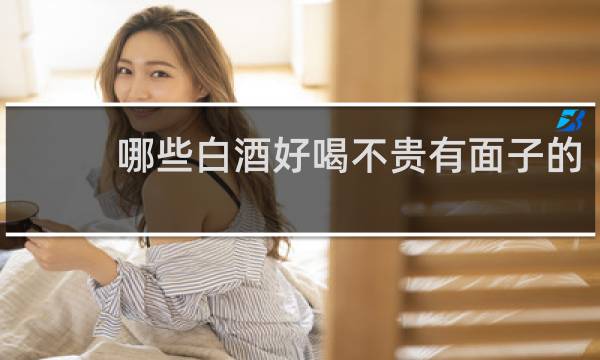哪些白酒好喝不贵有面子的