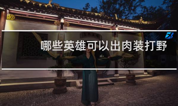 哪些英雄可以出肉装打野
