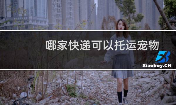 哪家快递可以托运宠物