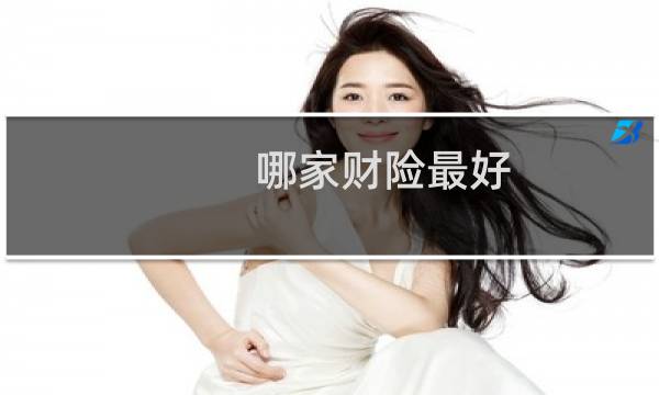 哪家财险最好