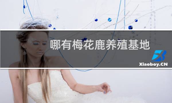 哪有梅花鹿养殖基地