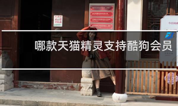 哪款天貓精靈支持酷狗會員