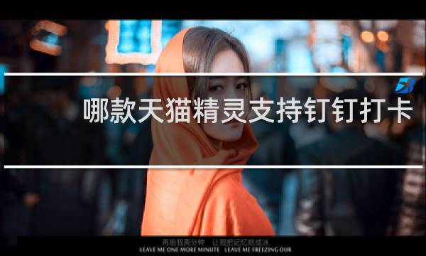 哪款天貓精靈支持釘釘打卡