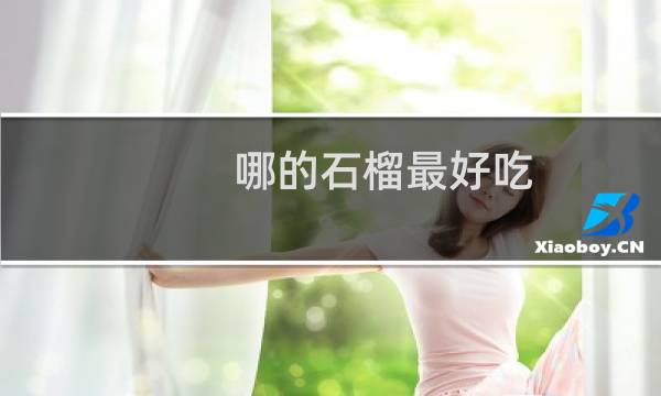 哪的石榴最好吃